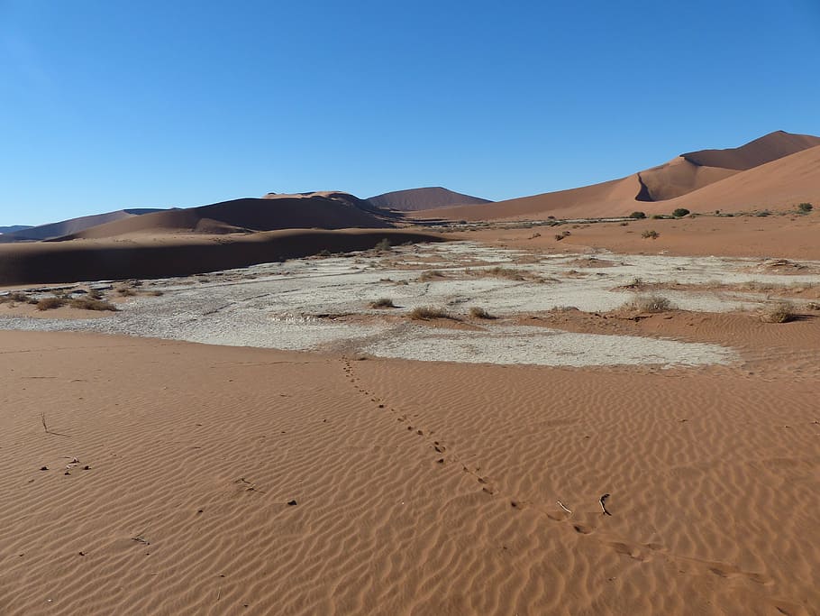 sossusvlei, desert, namibia, salt and clay pan, red, ferric oxide, land, sand, scenics - nature, landscape