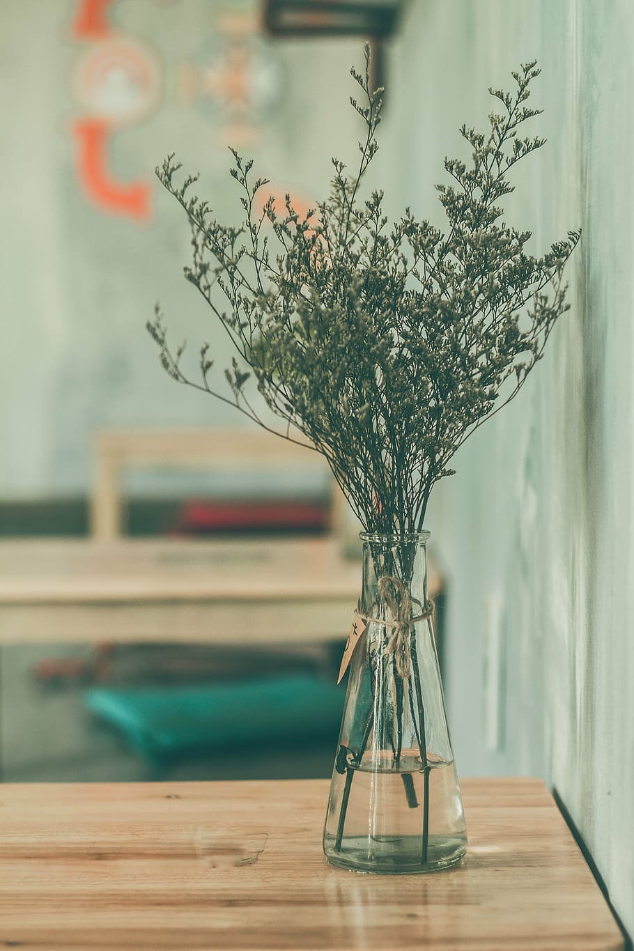 fotografía de primer plano, verde, hojeado, planta, mesa, flor, vidrio, agua, florero, de madera