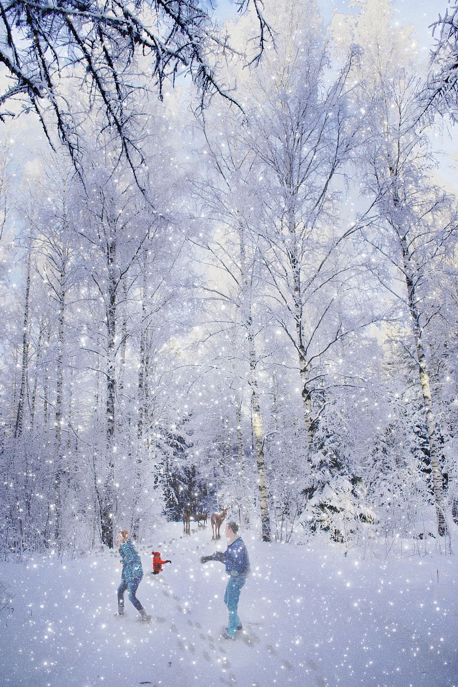 family, winter, greeting card, fun, child, people, snow, mother, together, kid