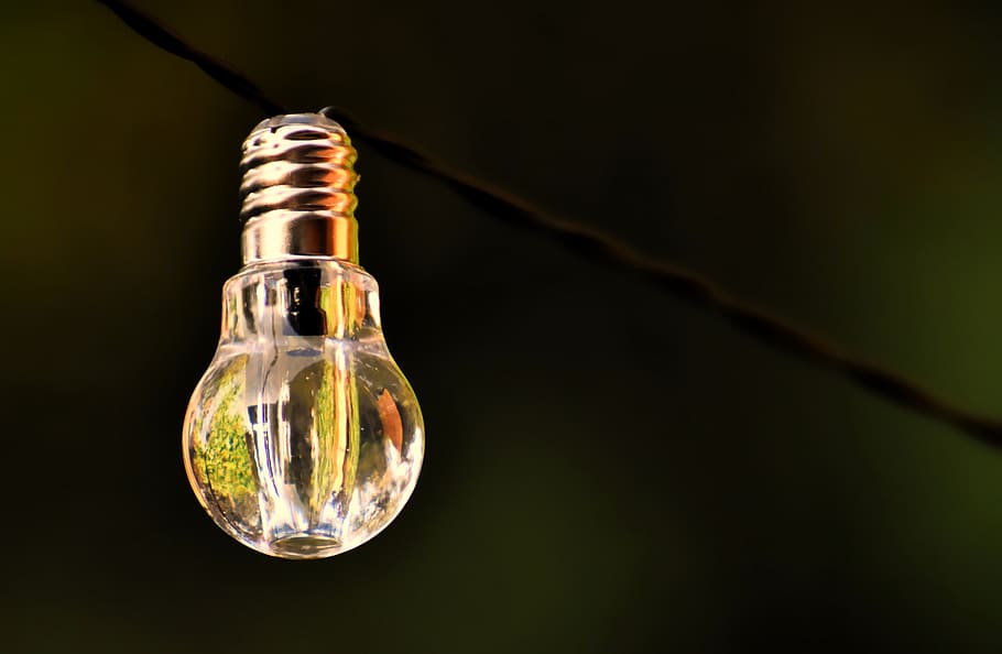 light bulb, energy, nature, environment, ecology, light, environmental protection, thoughts, nature conservation, thinking