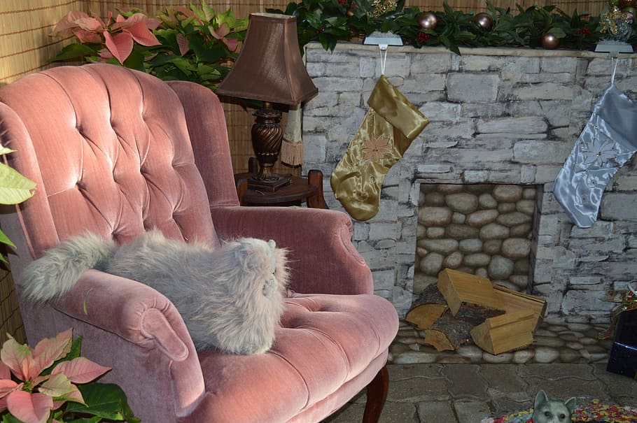white, cat, pink, armchair, living room, chair, sofa, fireplace, cozy, home