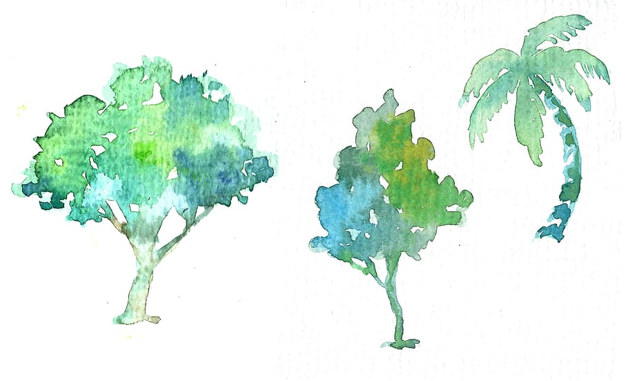 tres, verde, bocetos, árboles, palmera, hoja verde, ilustraciones, árbol, cocoteros, pintura de acuarela