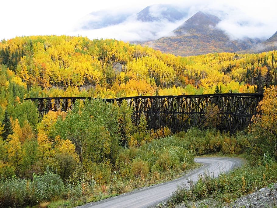 Landscape, Bridge, autumn, st elias national park and preserve, wrangell, alaska, fall colors, trees, leaves, gilahina trestle