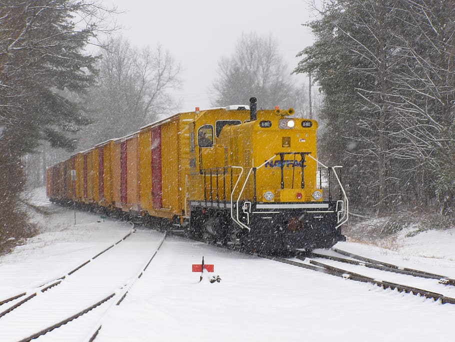 yellow, black, train, locomotive, cars, winter, snow, ice, landscape, forest