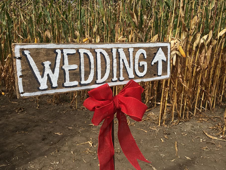boda, campo de maíz, rústico, país, rural, amor, texto, comunicación, escritura occidental, letrero