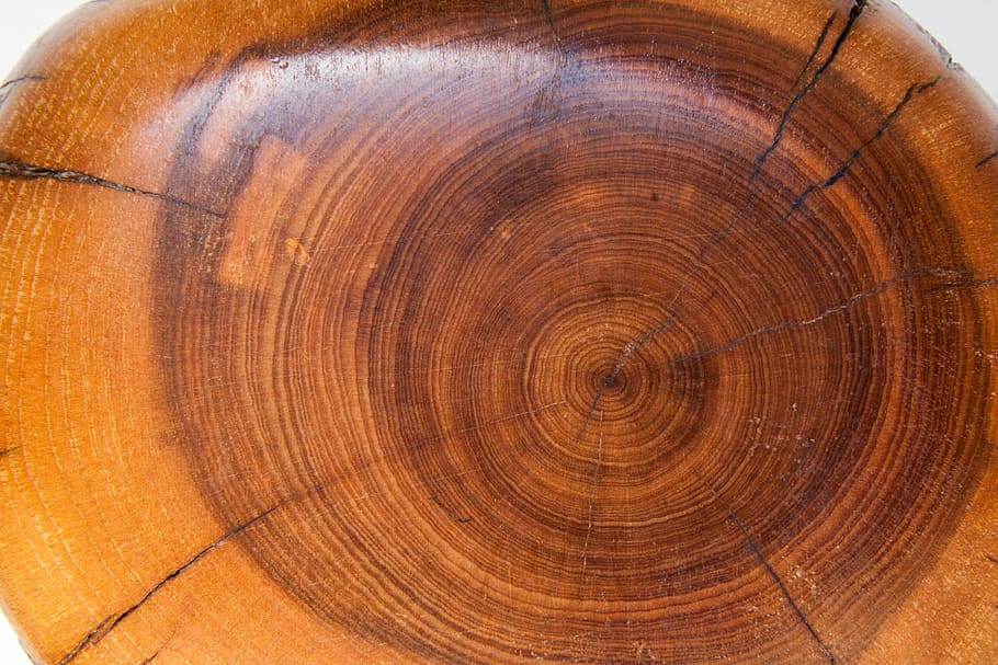 madeira, anéis anuais, estrutura, fundo, lacado, marrom, ocre, madeira lacada, plano de fundo, árvore