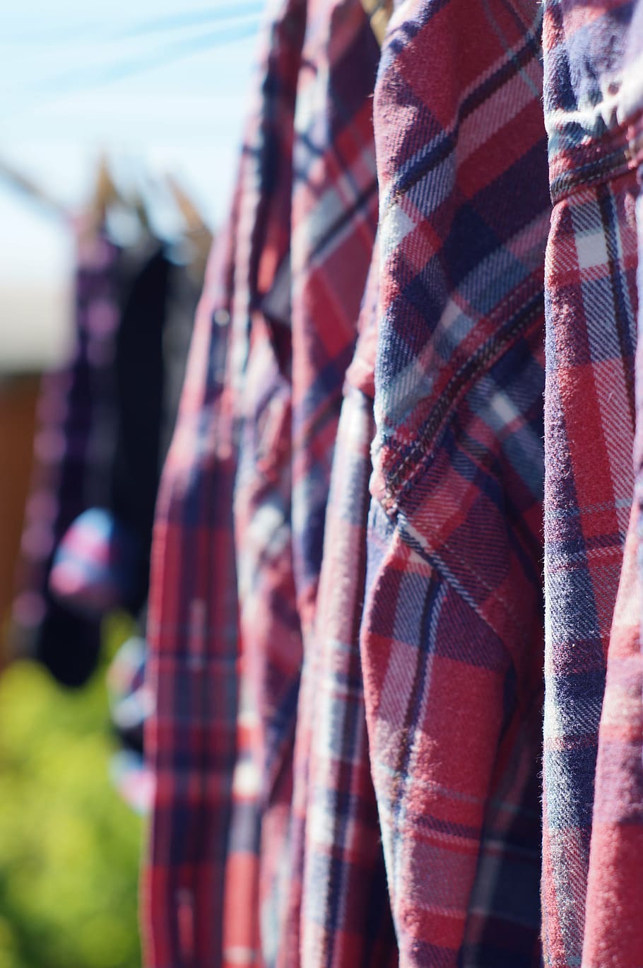 camisa, secado, marcada, línea de lavado, poca profundidad, algodón, rojo, ropa, centrarse en primer plano, textil