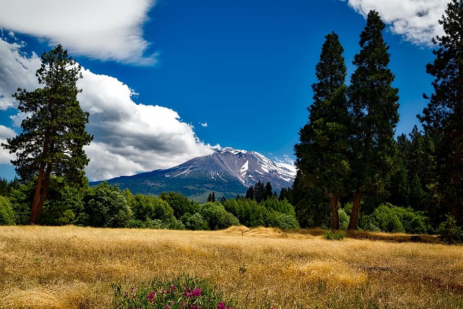 mount shasta, california, mountain, sky, forest, trees, nature, landscape, scenic, countryside