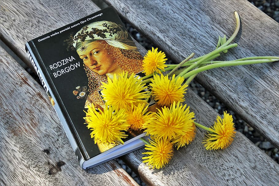 rodzinia borglow book, brown, wooden, surface, nuns, plant, closeup, yellow, plants, book