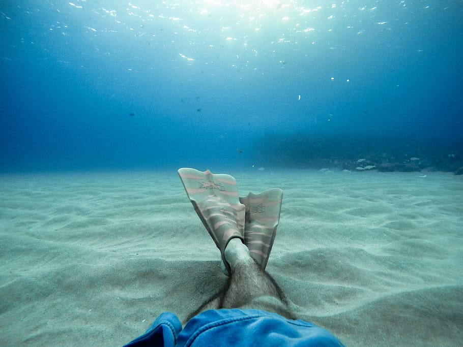 person, wearing, flippers, water, underwater, sea, ocean, blue, nature, leg