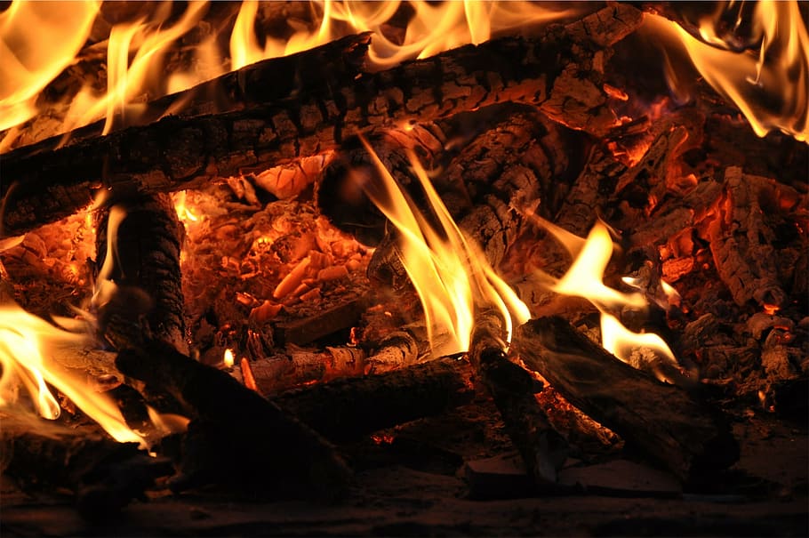 Hueso, quema, carbón, hoguera, fuego, llamas, madera, troncos, llama, calor - temperatura