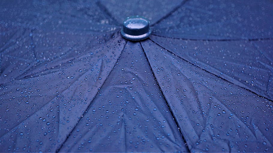 Lluvia, pantalla, paraguas, gota de lluvia, mojado, clima, clima lluvioso, lluvia de verano, azul, húmedo