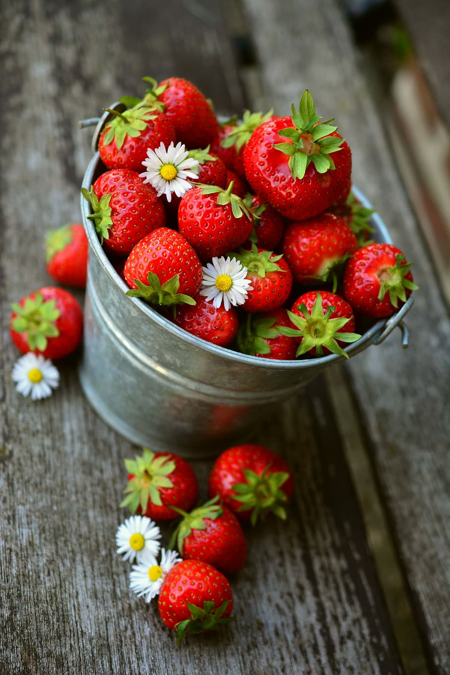 bucket of strawberries, strawberries, fruit, delicious, food, eat, berries, strawberry time, garden, harvest