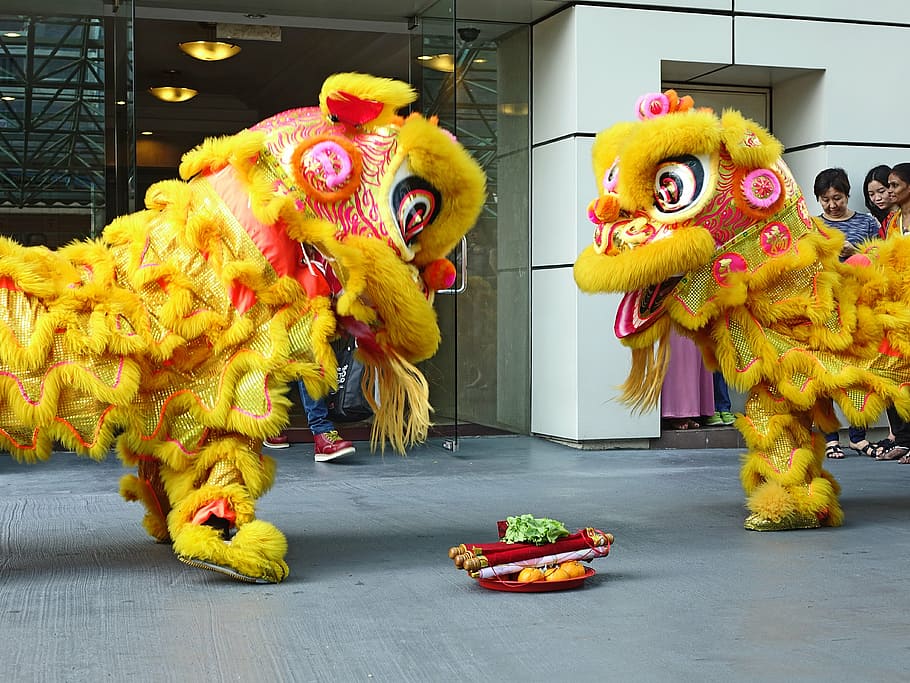 lion dance, chinese, tradition, new year, luck, dancing, asian, festival, performance, season