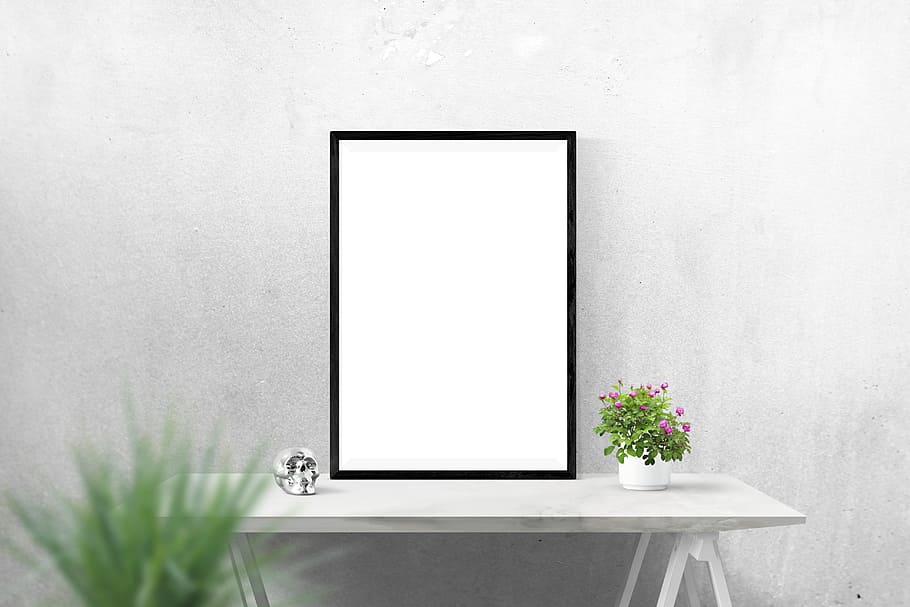plain, white, canvas, black, frame, table, pink, flowers, poster, wall