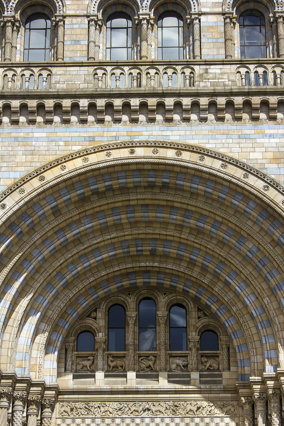 ロンドン 博物館 建築 自然史博物館 観光 イギリス 記念碑 アーク 都市 垣間見る Pxfuel