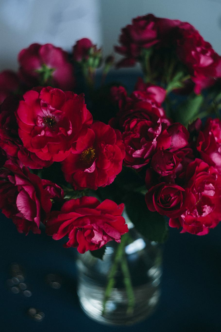 indah, tempat kerja, merah, mawar, mawar merah, perempuan, bunga, lucu, ember, mawar - Bunga