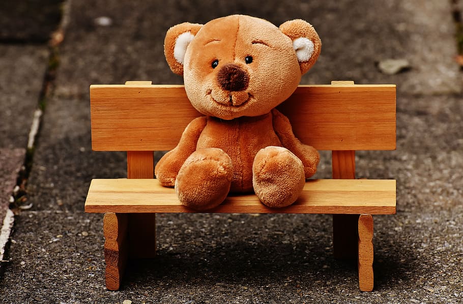 bear, plush, toy, wooden, bench, teddy, bank, sit, fun, funny