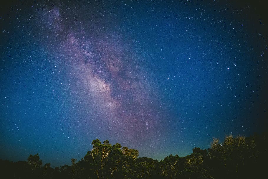 árvores, céu, azul, escuro, estrelas, galáxias, natureza, astronomia, espaço, noite