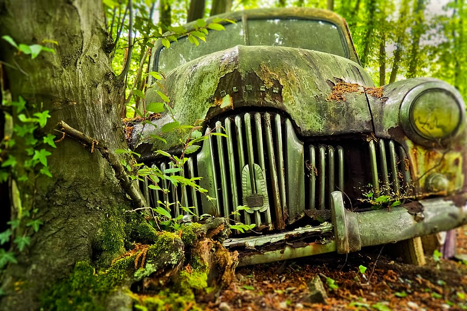 destrozado, coche, detrás, árbol, automóvil, cementerio de automóviles, viejo contador de tiempo, viejo, óxido, inoxidable karre