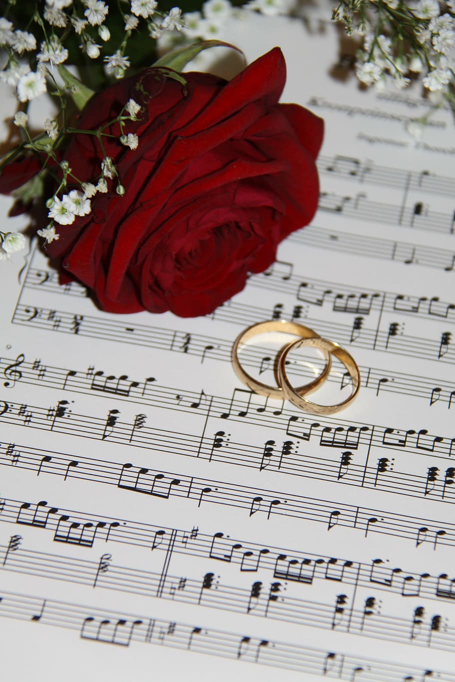 red, rose, flower, pair, gold-colored wedding bands, wedding, ros, call, remarks, music