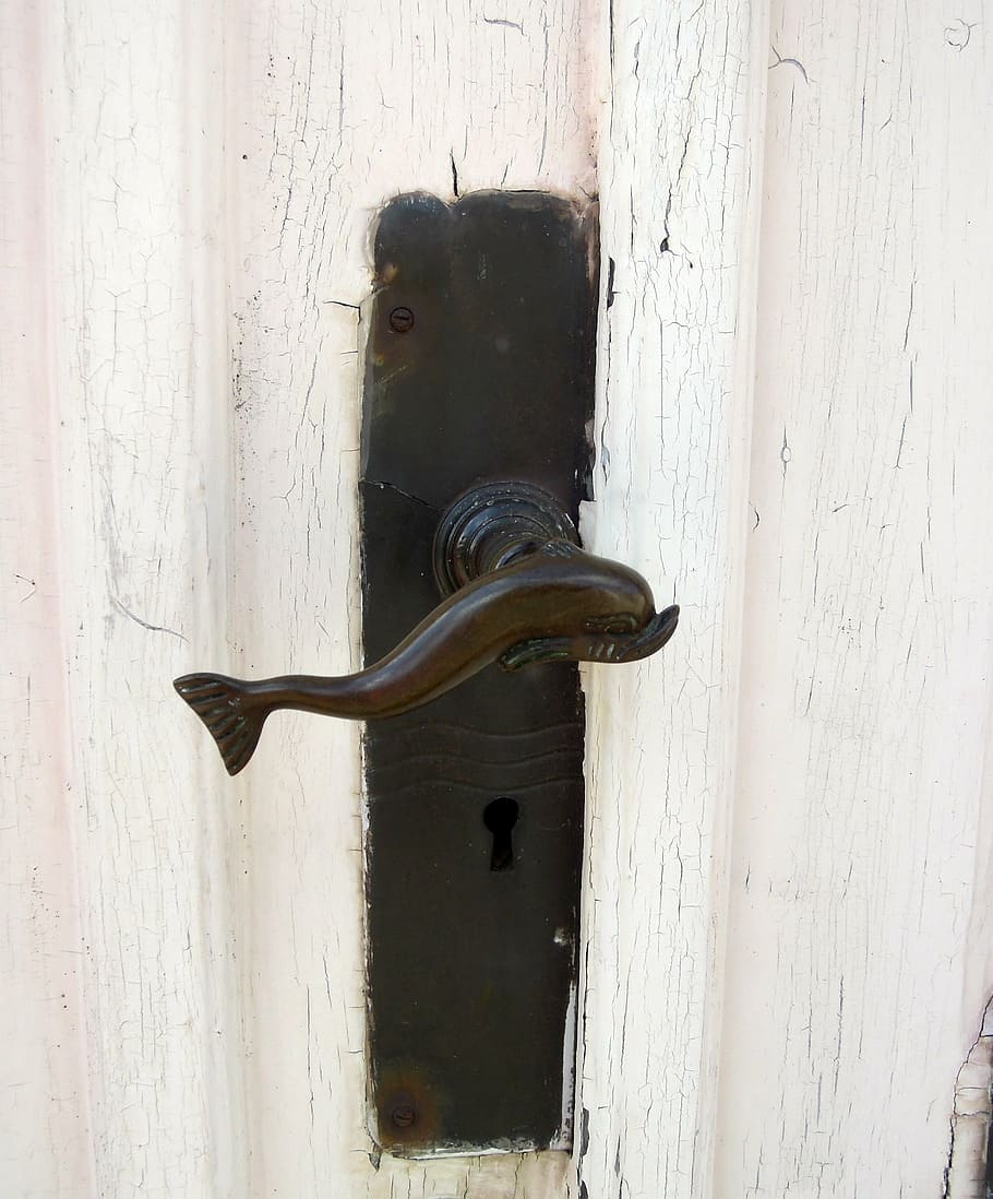 door, pen, dolphin, castle, keyhole, key, vintage door, wood texture, door handle, ornament