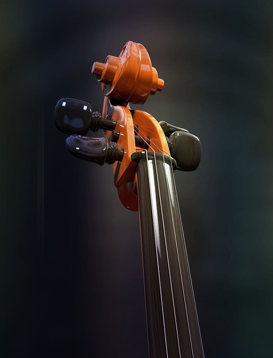 brown, black, string guitar instrument, cello, strings, stringed instrument, detail, neck, snail, wood