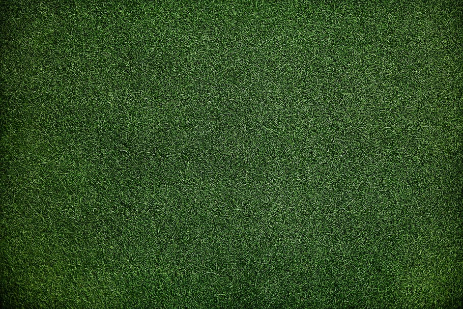 hierba verde, tela, patrón, escritorio, lujo, abstracto, telón de fondo, fondo, botánica, primer plano