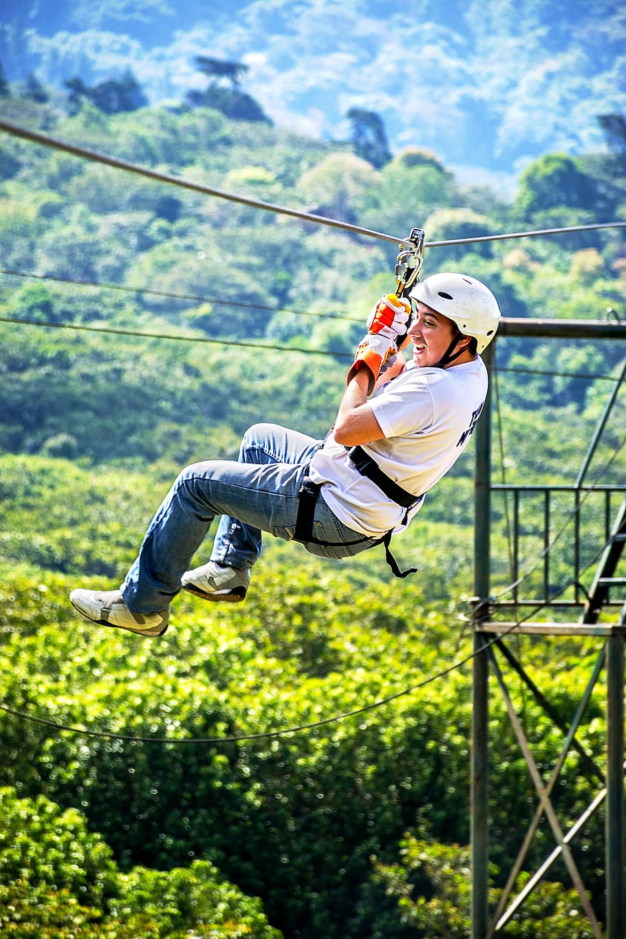 smiling, man ziplining, green, tree canopy, daytime, end, sport, nature, fun, canopy