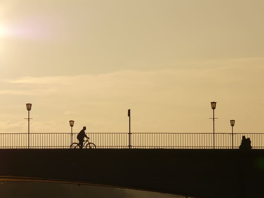 orang, naik, sepeda, lampu jalan, Jembatan, Manusia, Profil, Siluet, Web, lampu belakang