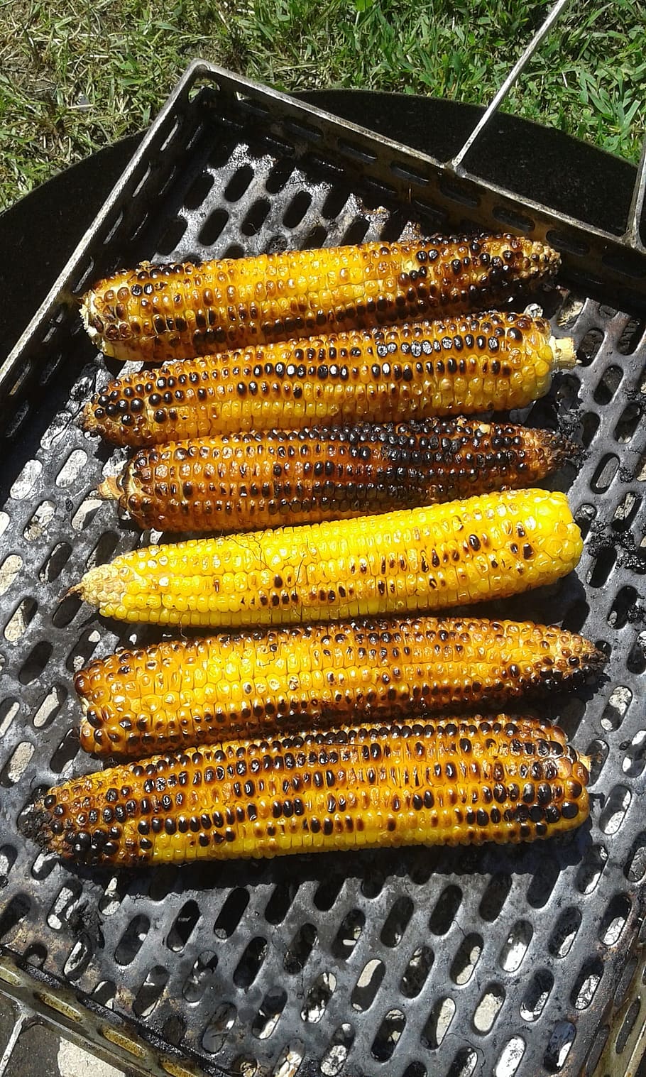 corn, grill, yellow, food, grilled, barbecue, bbq, vegetable, healthy, roasted