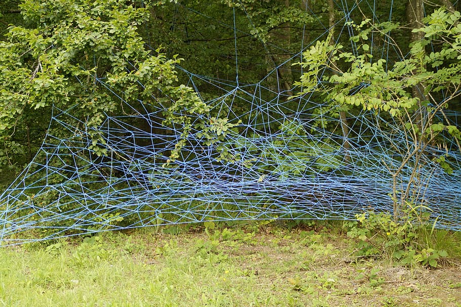 network, blue, branches, lavizzara, entangled, tangle, structure, texture, background, artwork
