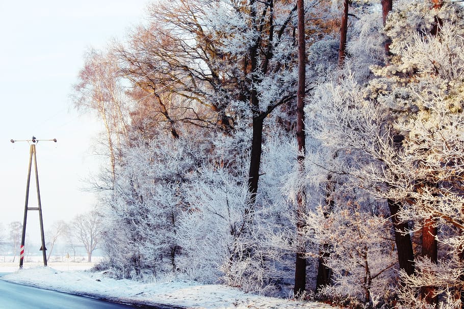 strommast, road, wintry, winter, landscape, snow, snowy, winter magic, evening sky, cold