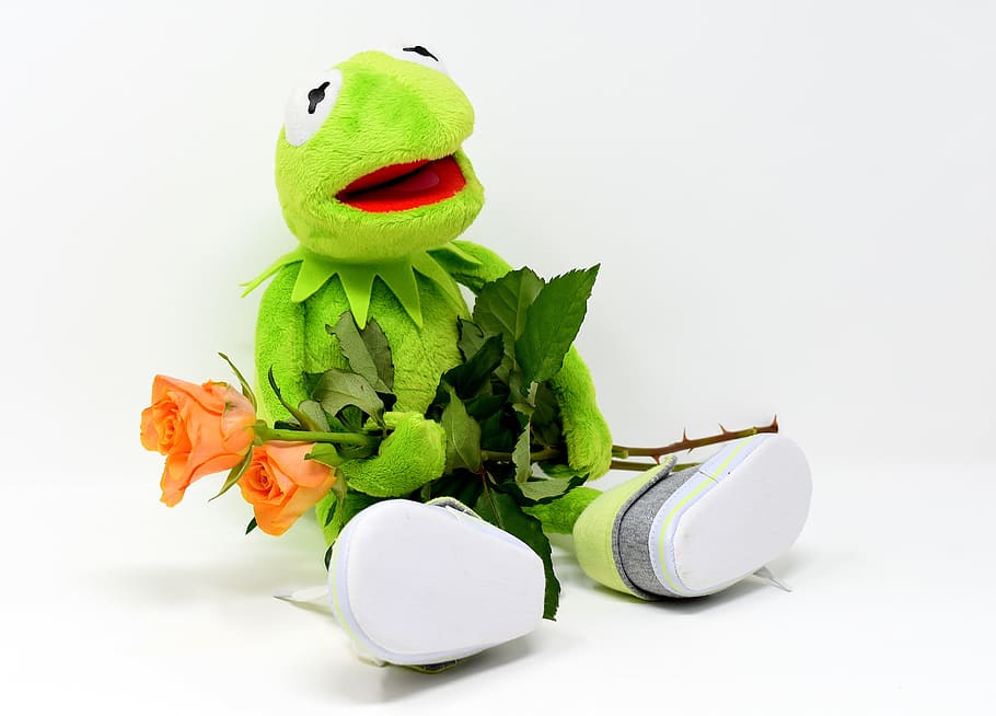 hermit, frog, holding, pink, rose, flowers, kermit, greetings, get well soon, roses