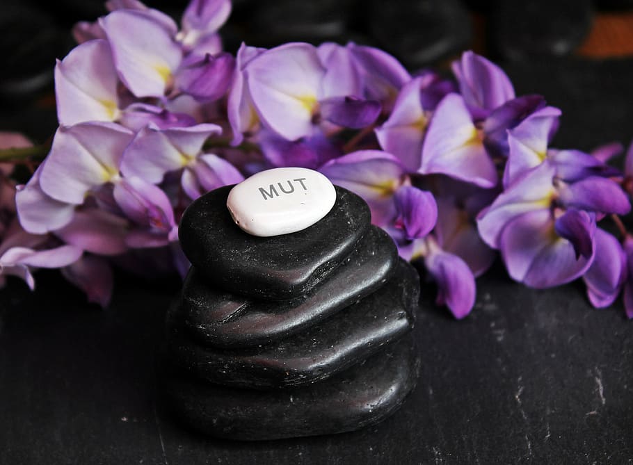 tumpukan, hitam, kerikil, di samping, ungu, bunga petaled, keseimbangan, meditasi, batu, zen
