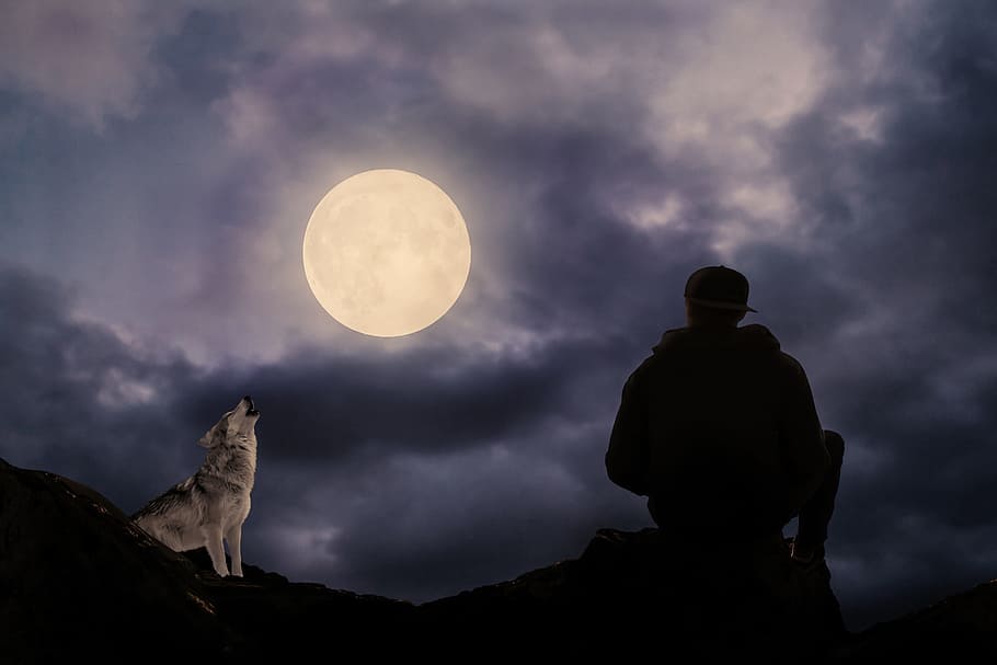 silhouette, man, sitting, mountain, nighttime, full moon, moonlight, wolf, predator, howl