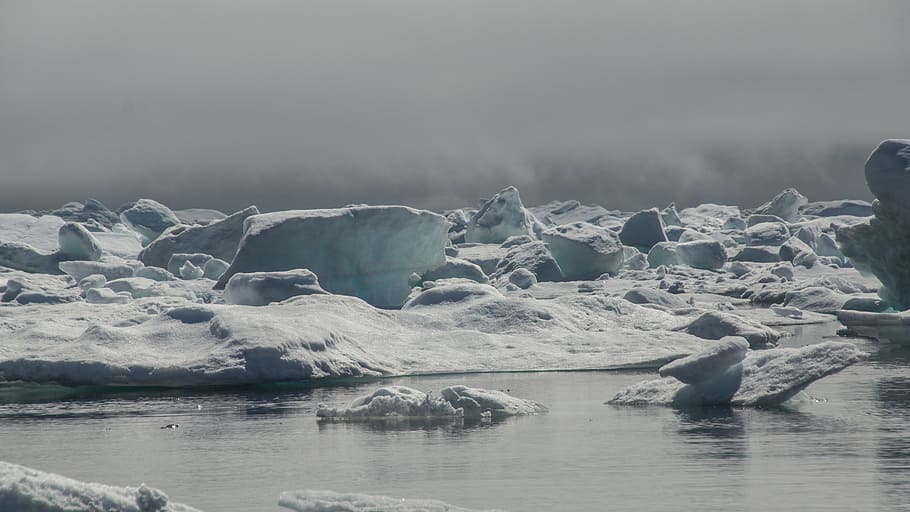 drift ice, iceberg, frozen, sea, white, endless, wilderness, ice, landscape, nature