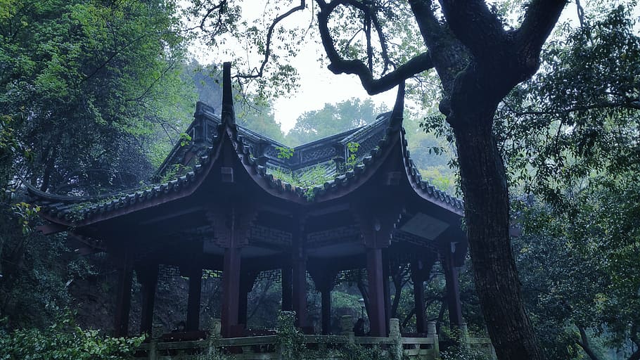 imagen, contener, cobertizo, bosques, asiático, hangzhou, ching ming, el paisaje, pabellón, tradicional