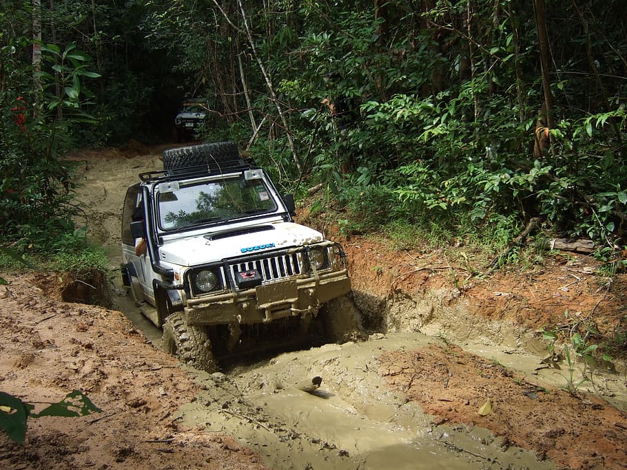 offroad, off road, offroad track, 4x4, transportation, mode of transportation, land vehicle, plant, land, tree
