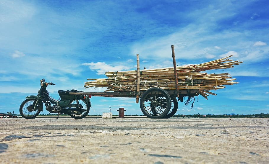 worm view photography, underbone motorcycle, parked, cloudy, sky, transport, motorcycle, trailer, bamboo, loaded