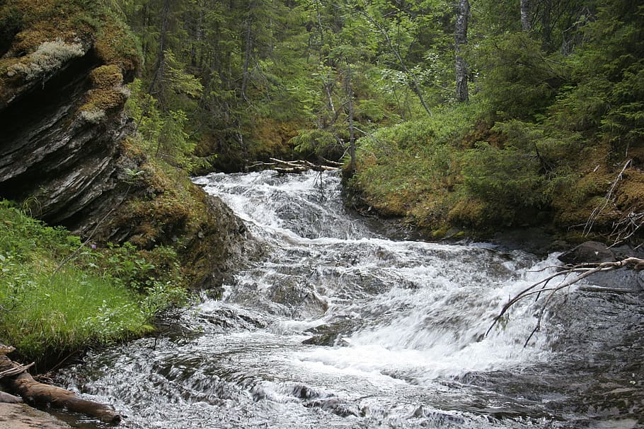 air terjun, pohon, siang hari, sungai kecil, hutan, kecepatan rana lambat, jämtland, swedia, aliran sungai, aliran air