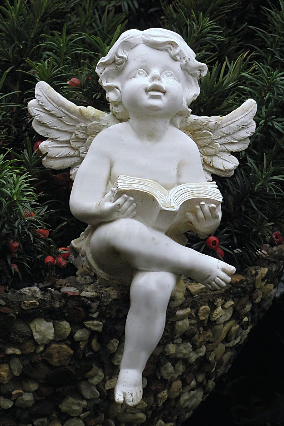 흰 천사 님 동상, 천사, 그림, 화이트, 좌석, 책 읽기, 조각, 표현, 동상, 인간 표현