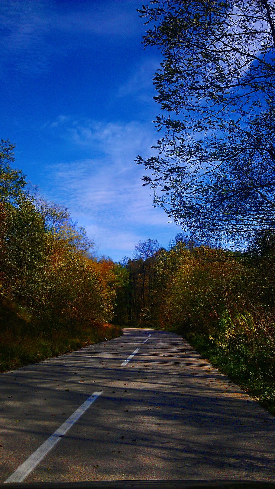 autumn, jesen, auto, road, car, nature, clean, colorful, country, countryside