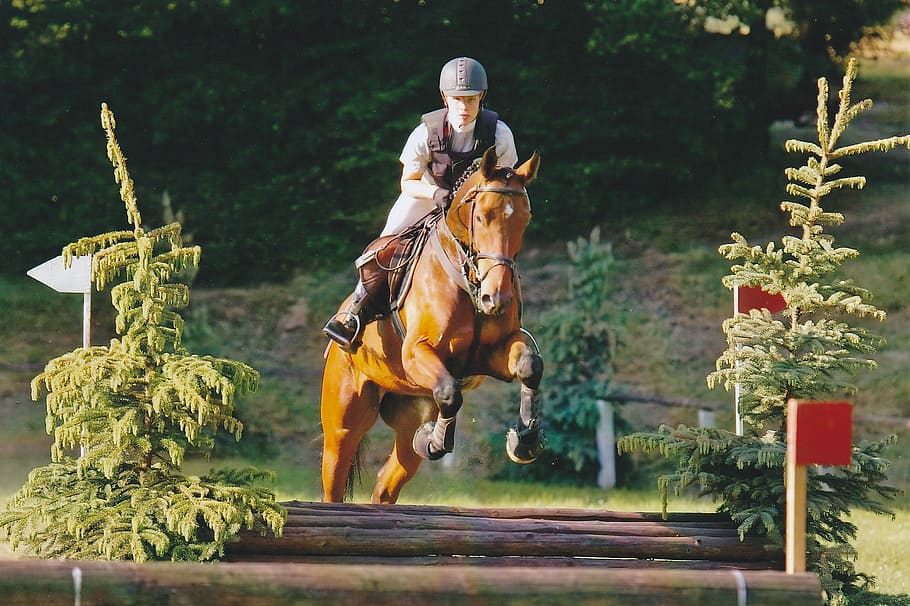 Versatility, Military, Tournament, Ride, horse, eventing, versatility examination, terrain, obstacle, military-horse riding