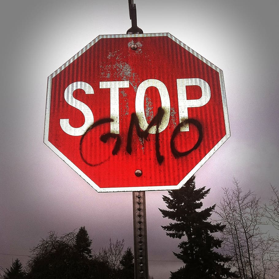 red, white, stop, signage, gmo, science, food, health, wellness, well