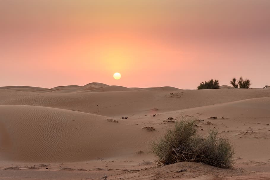 dubai, landscape, sand, nature, scenic, desert, sunset, sun, dune, adventure