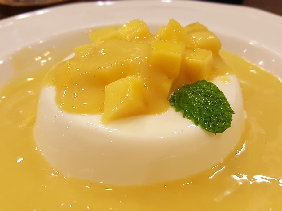 mango, sweet, dessert, panacotta, food, food and drink, freshness, healthy eating, ready-to-eat, yellow