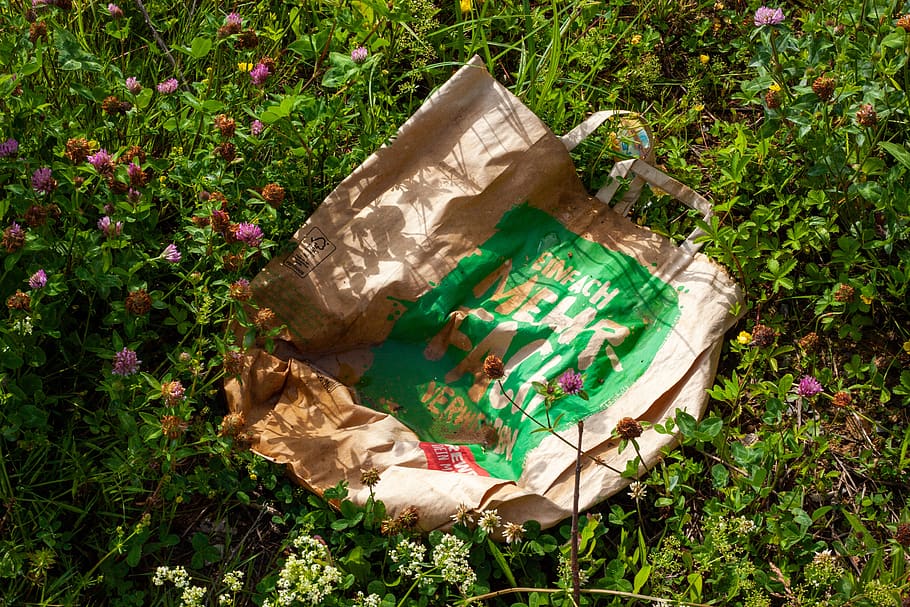 paper bag, thrown away, waste paper, wild garbage, waste, disposal, recycling, garbage, weather, plant