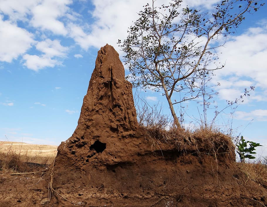 Colina, Montículo de termitas, colina de termitas, termitas, termitarium, nido de termitas, dharwad, india, cielo, nube - cielo