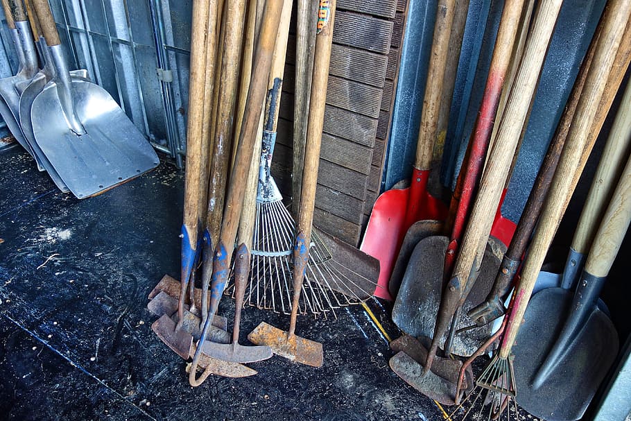 assorted, gardening tools, leaning, side, wall, spade, tool, equipment, gardening, agriculture